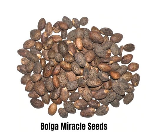 Bolga Miracle Seeds